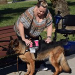 A service dog helping a woman sit down on a bench at a park.